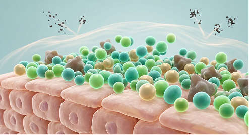 通过微生态正常化培养自愈力