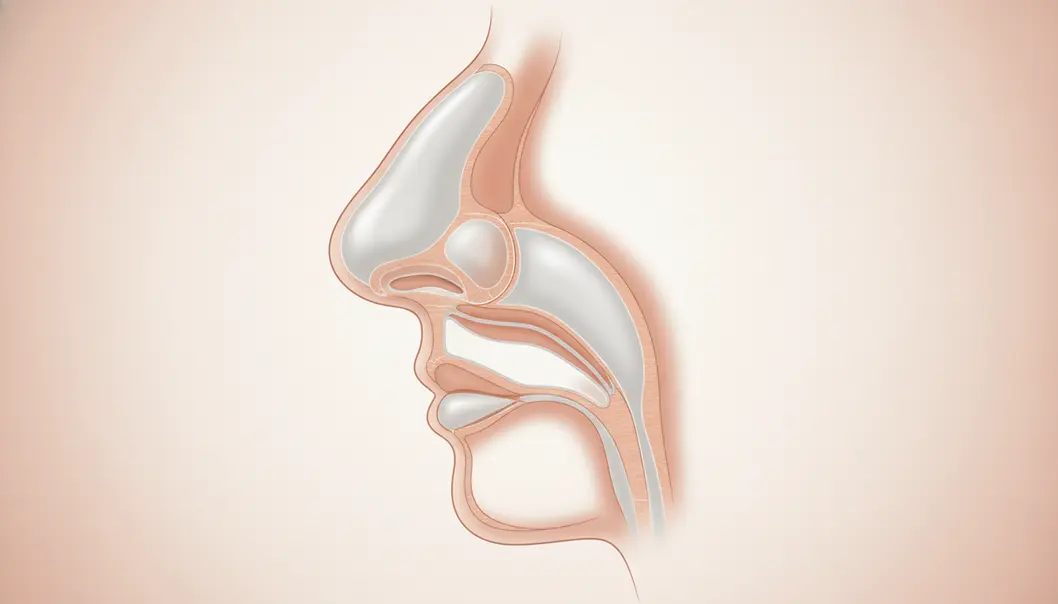 Understanding the difference between structural rhinoplasty and non-surgical fillers is the first step.